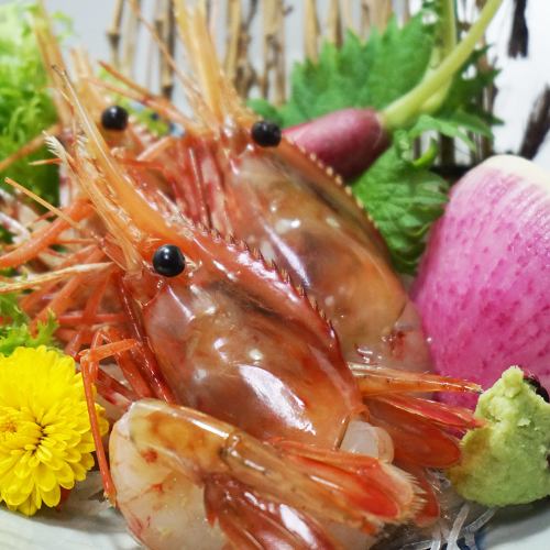 牡丹海老お刺身（1尾）