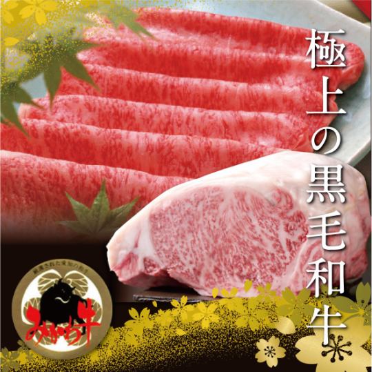 大人6名以上予約限定 時間無制限 プレミアム食べ飲み放題