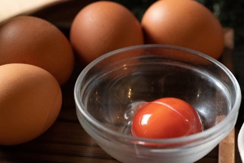 【식재료의 조건】