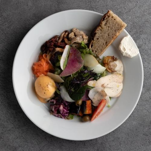 Today's salad dish 本日のサラダプレート