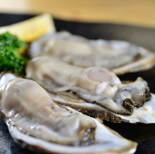 All-you-can-eat fresh oysters straight from the farm