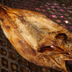 [No.1] Extra large shimahokke from eastern Hokkaido