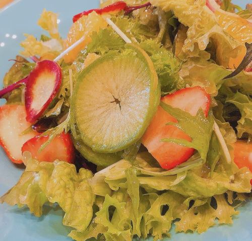 Special salad with seasonal fruits and Hachioji vegetables
