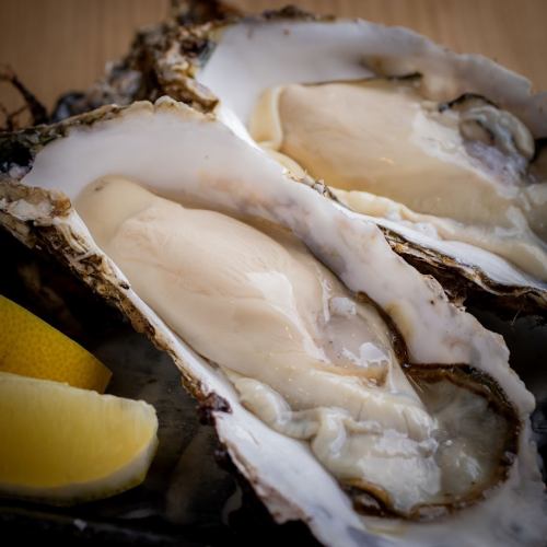 Miyagi prefecture raw oyster L size 1 piece