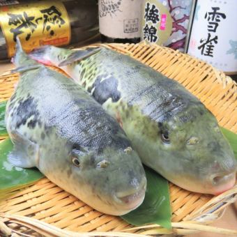 【今年もやってきました！】2時間飲み放題付☆豪華ふぐ三昧☆鍋料理含む全6品限定7000円→6000円