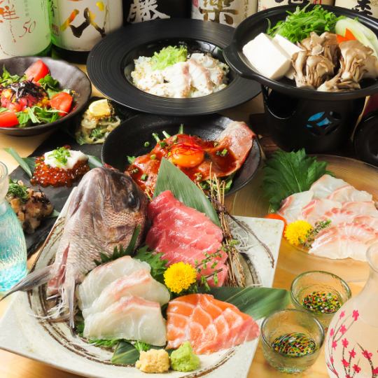 季節の食材を旬の鮮魚を味わう【五月雨】桜鯛や旬菜の創作料理　全9品3H飲み放題付7000⇒5500円