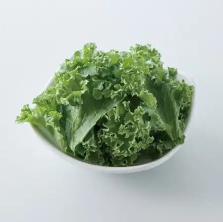 샐러드 케일