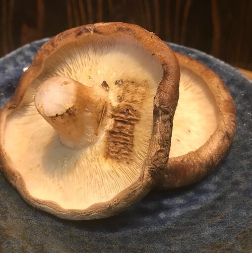 肉厚しいたけ焼き