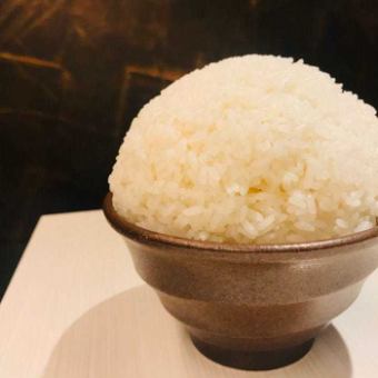 ごはん 各種