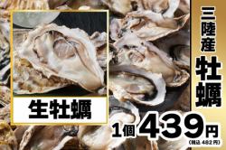 生牡蠣(1個)