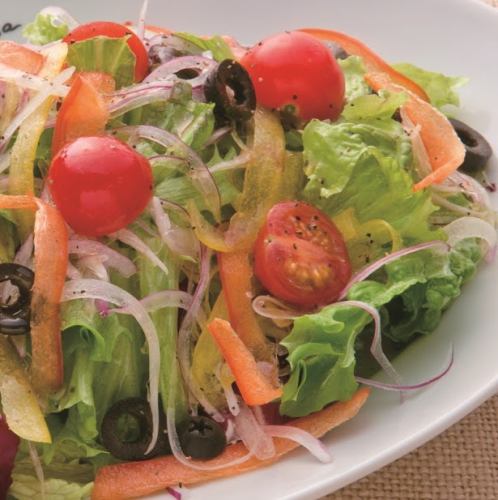 Garden style salad with various vegetables