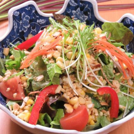 Colorful Doraku Salad