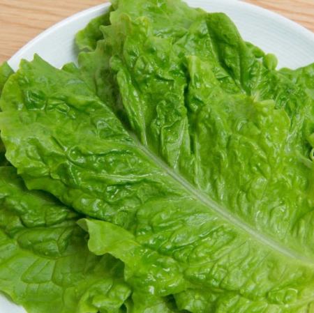 Salted cabbage salad / various lettuce