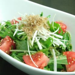 green leaf jaco salad