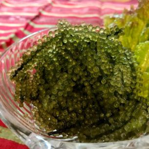 プチプチ海ぶどう