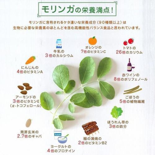 栄養満点！お酒を飲んで健康に！モリンガハイ