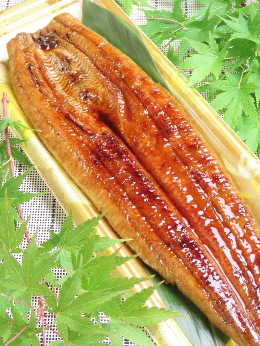 たけし鰻