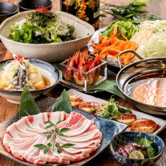 【九州馬甲門套餐】馬生魚片拼盤和黑豬肉涮鍋♪ 3小時無限暢飲 9道菜 5000日元