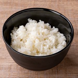 白ごはん
