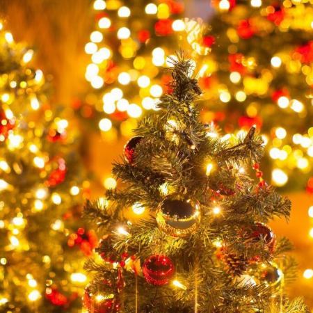 Christmas Special Course