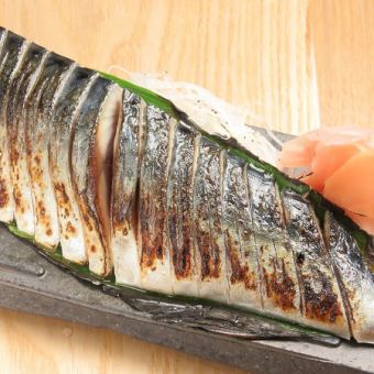 Famous product Flame-finished mackerel sashimi
