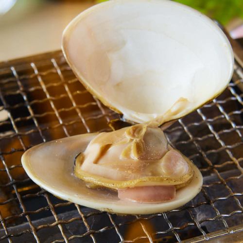 Live clams