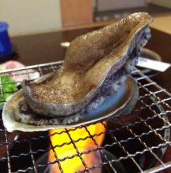 Abalone sashimi or grilled abalone