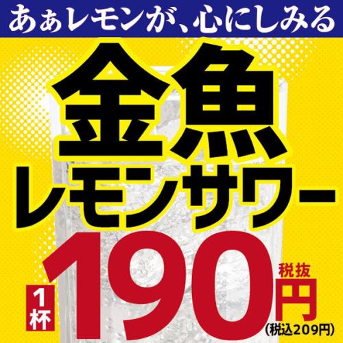 金魚レモンサワー登場！