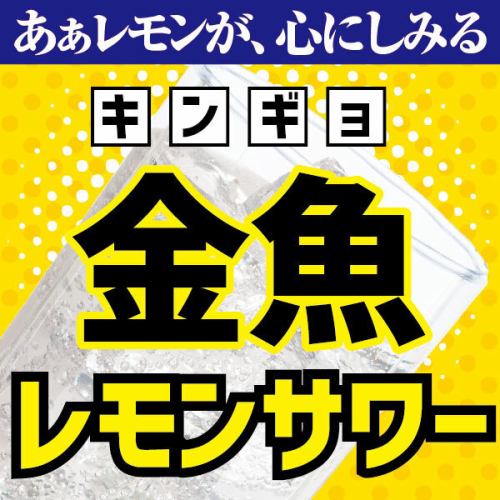 金魚レモンサワー登場！