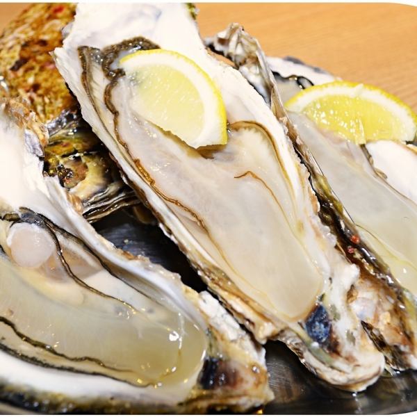 Outstanding freshness! Please enjoy freshly caught oysters!