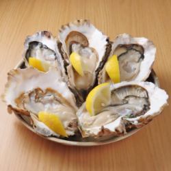 5 oysters