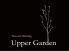 upper garden　（アッパーガーデン）イタリアン食べ放題 中央町本店