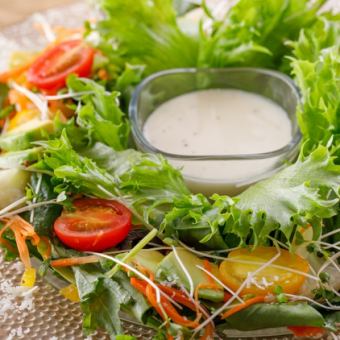 Aurora salad of freshly grown vegetables