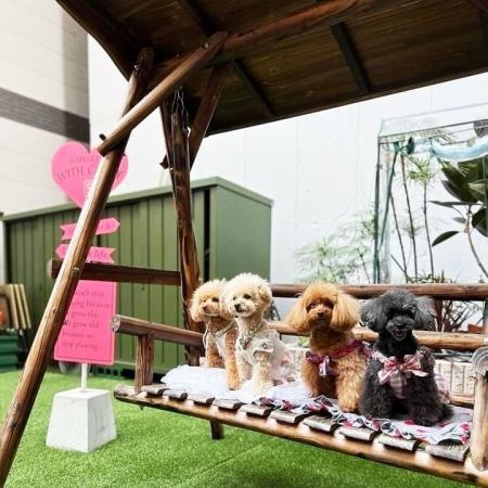 テラス席はペット同伴OK！映えスポットで愛犬のカワイイ写真をパチリ★お散歩ついでにお立ち寄りください♪