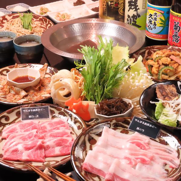 【2時間飲み放題付き宴会コースもご用意】沖縄料理×しゃぶしゃぶをご堪能ください！