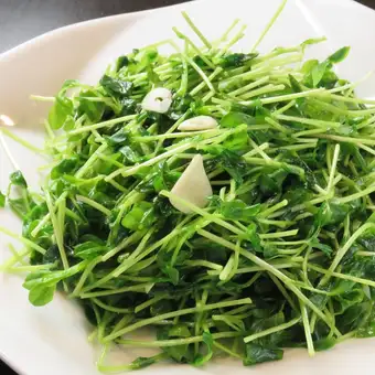 豆苗