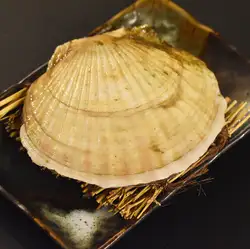 ・漁師サイズ殻付きホタテ