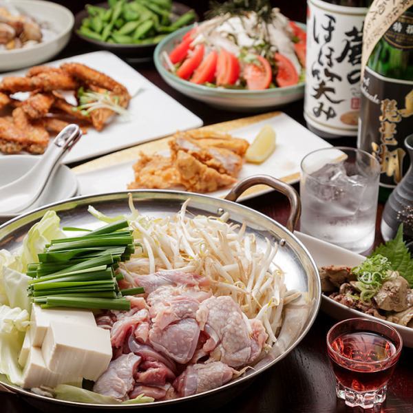 ≪9 dishes in total!≫ Enjoy the charms of Nagoya Cochin♪ All-you-can-drink course 5,000 yen (tax included)