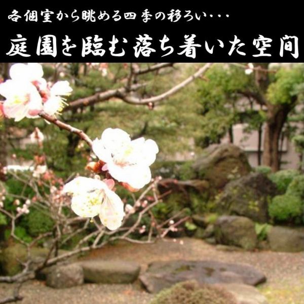 各種個室から庭園を眺めることが出来ます。落ち着いた雰囲気を愉しみながらのお食事は贅沢な気持ちにさせてくれます。特に夜のライトアップされた庭園はお薦めです。