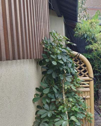 こんばんは。
今日は一日、少し暑いときもありましたが、
おおむね穏やかな気候でしたね。

色々お疲れが終わった後は
当店で「とろろそば」なんていかがですか？
大和芋のとろろをよく使ったつけつゆに
日本酒をそばに置いていただくと…。

なかなかのものです。
地酒の極上黒松剣菱はもちろん、
店主おすすめの新潟の久保田、千寿から万寿まで
値段の付け方が安すぎるんじゃないかと、
ご指摘を受ける感じでご提供しております。

店主が正気に戻るまでにおトクにご賞味いただければ幸いです。

#兵庫県 #神戸市 #東灘区 #阪神御影駅北側 #御影坂 
#そば処 #御影 #峡洛 #阪神御影 #そば処御影峡洛 
#神戸ディナー #東灘ディナー #御影ディナー 
#御影ディナーも峡洛で