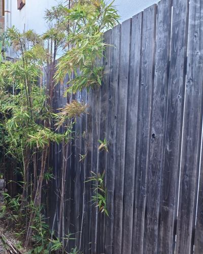 こんばんは。
今日は一日、少し暑いときもありましたが、
おおむね穏やかな気候でしたね。

色々お疲れが終わった後は
当店で「とろろそば」なんていかがですか？
大和芋のとろろをよく使ったつけつゆに
日本酒をそばに置いていただくと…。

なかなかのものです。
地酒の極上黒松剣菱はもちろん、
店主おすすめの新潟の久保田、千寿から万寿まで
値段の付け方が安すぎるんじゃないかと、
ご指摘を受ける感じでご提供しております。

店主が正気に戻るまでにおトクにご賞味いただければ幸いです。

#兵庫県 #神戸市 #東灘区 #阪神御影駅北側 #御影坂 
#そば処 #御影 #峡洛 #阪神御影 #そば処御影峡洛 
#神戸ディナー #東灘ディナー #御影ディナー 
#御影ディナーも峡洛で
