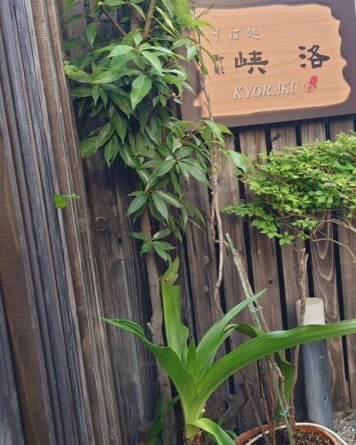 おはようございます😊️
このところの雨や温度、天気に囲まれて植物がすくすく育って後が怖い峡洛でございます。

定休日を明けて本日も「とろろそば」をはじめ、
色々な蕎麦で皆さまをお待ちしております。

#兵庫県 #神戸市 #東灘区 #阪神御影駅北側 #御影坂 #そば処 #御影 #峡洛 #阪神御影 #そば処御影峡洛 #神戸ランチ #東灘ランチ #御影ランチ #御影ランチで峡洛の蕎麦 #MikageNakamachiSoba