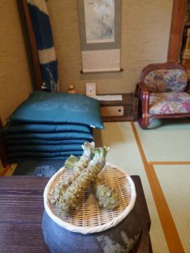 おはようございます😊