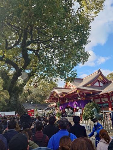 皆さんはもう十日えびす行ってきましたか？
今日はよいえびすですね。
明日あさってと混みそうなので本日行ってきました。

笹とか買ったら、真っ直ぐ目的地まで帰らないといけないとか。
本当かどうかわかりませんが、
それまでに食べたり呑んだりしないといけなくなっちゃいますね。
しっかり帰った皆さんはおつかれ休めに、
蕎麦屋でお茶でもしませんか？

中の人も混んでなかったとはばたんきゅーデス。
珈琲屋さんの豆を使った珈琲や、香り高い紅茶も置いてますので
気が向いたらお越しになってくださいね😊️

#阪神御影駅北側 #御影坂 #そば処御影峡洛 #御影喫茶 
#十日えびす