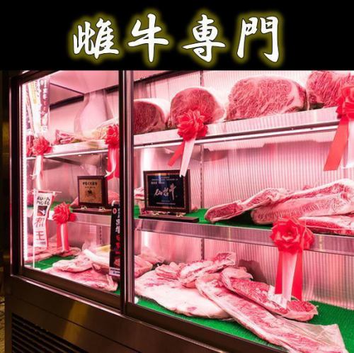 Refrigerator that brings out the maximum flavor of meat