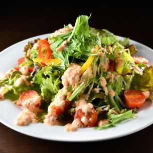 特色彩色蔬菜沙拉