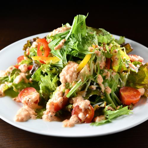 特色彩色蔬菜沙拉