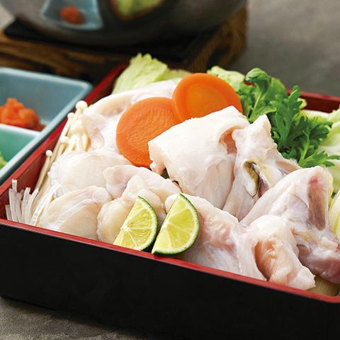 Tiger pufferfish tetchiri