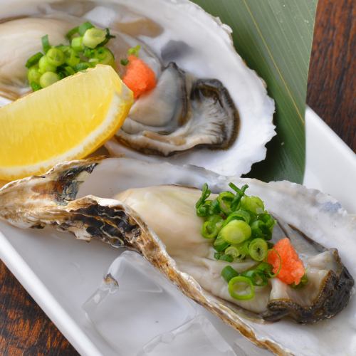 [Iwagaki] Enjoy oysters from all over the country♪