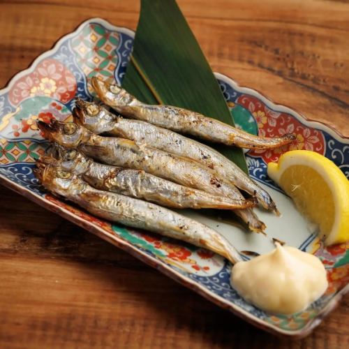 子持ちししゃも